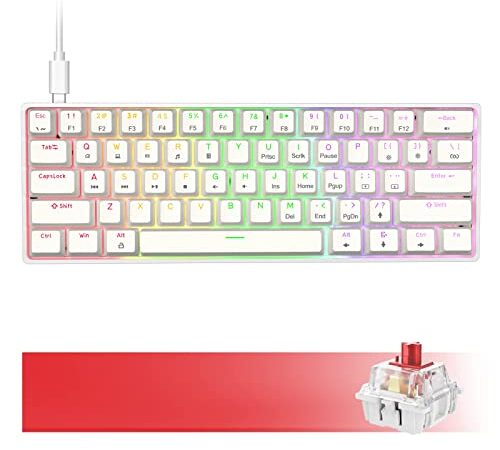 Dierya DK61se Tastiera da Gioco Meccanica al 60% con Interruttori Meccanici Lineari,Keyboard Gaming Monocromatico RGB Type-C Mini Compact 61 Tasti Anti-Ghosting （Layout US,QWERTY）Bianco