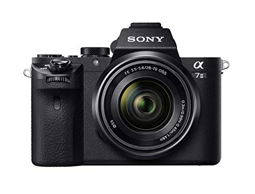 Miglior sony a7 nel 2024 [basato su 50 recensioni di esperti]