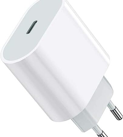 Caricatore iPhone Rapido 25W USB C Per iPhone 14/14 Plus/14 Pro/14 Pro Max/13/12/11/XS/XS Max/XS/XR/X/8/iPad, Caricabatterie iPhone USB C PD 3.0 Spina Alimentatore Adattatore Ricarica