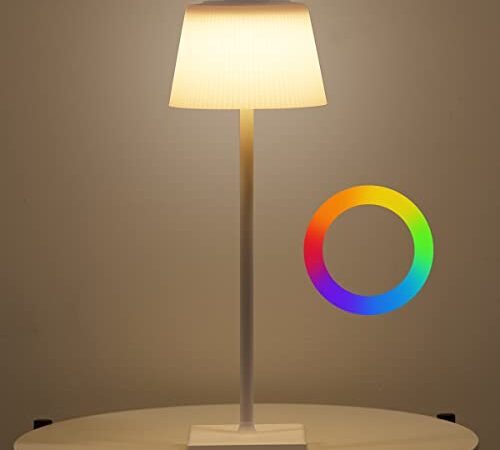 IPARTS EXPERT Lampada da Tavolo LED Ricaricabile Senza Fili, RGB Lampada Touch Sense Dimmerabile 8 Colori per Camera, Ufficio, Bar, Ristoranti