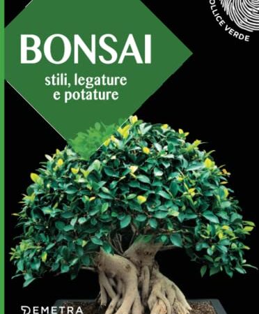 Bonsai: Stili, legature e potature: 1