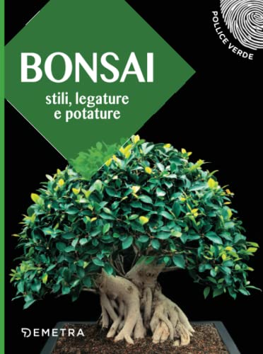 30 Miglior bonsai nel 2024 [basato su 50 recensioni di esperti]